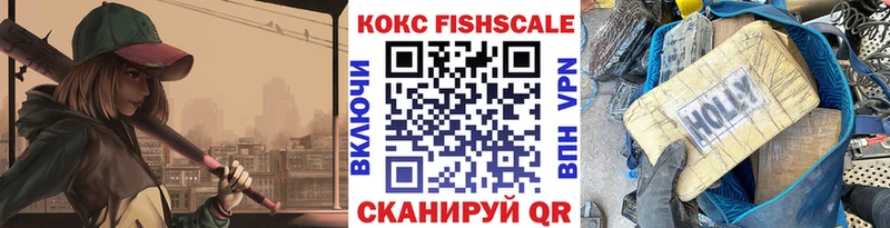 Cocaine FishScale  Купить где  Бавлы 