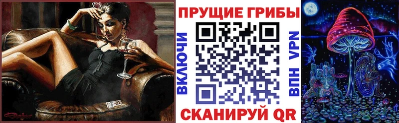 Галлюциногенные грибы Psilocybe  Купить  Бавлы 